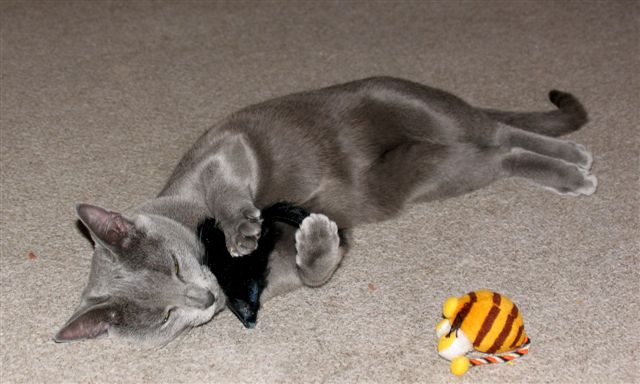 Phoebe am 09.12.2006